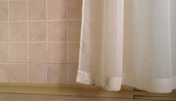 Best Water Damage & Mold Remediation  in North Granby, CT