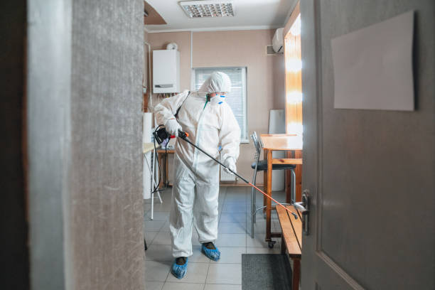 Best Airborne Mold Testing  in North Granby, CT