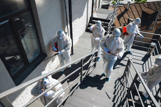 Best Real Estate Mold Inspection  in North Granby, CT