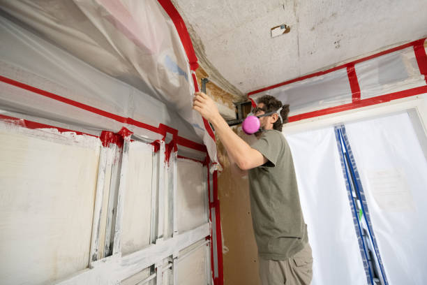 Best Indoor Air Quality Assessment  in North Granby, CT