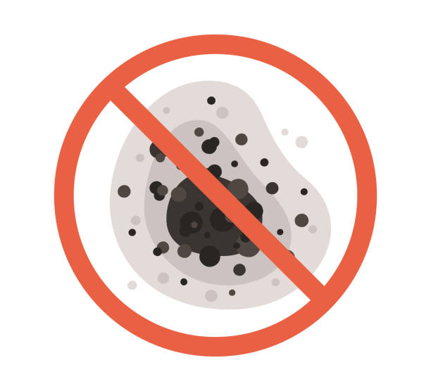 Best Mold Documentation for Insurance Claims  in North Granby, CT