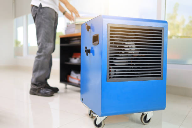 Best Mold Removal for HVAC Installations  in North Granby, CT