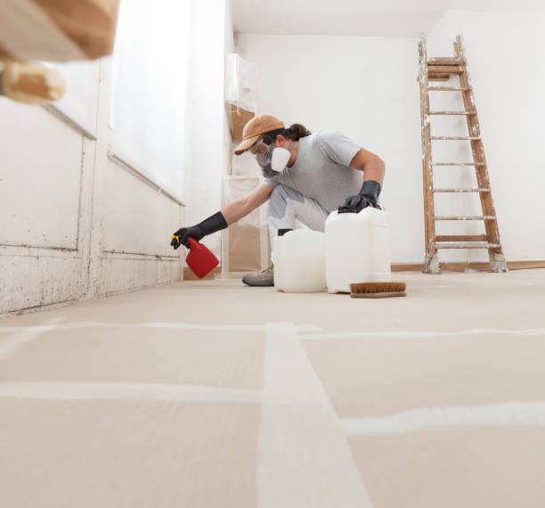 Best Residential Mold Inspection & Testing  in North Granby, CT